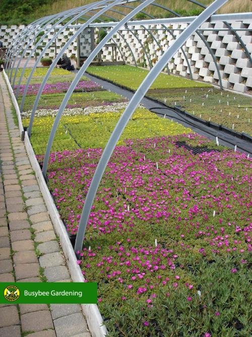 service single images