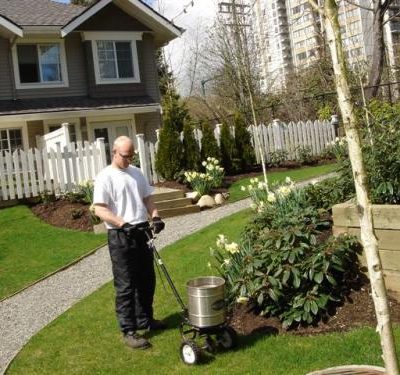 strata-lawn strata-lawn